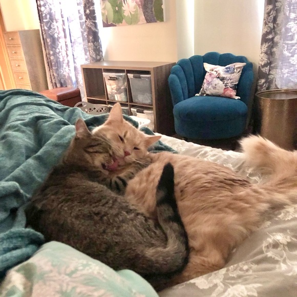 Meet your Posher, Kim - Picture 15 of 15